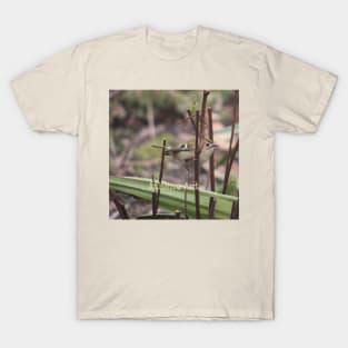 Goldcrest Bird perched on a twig Photograph T-Shirt